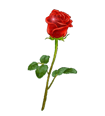 1316025_8749a.gif