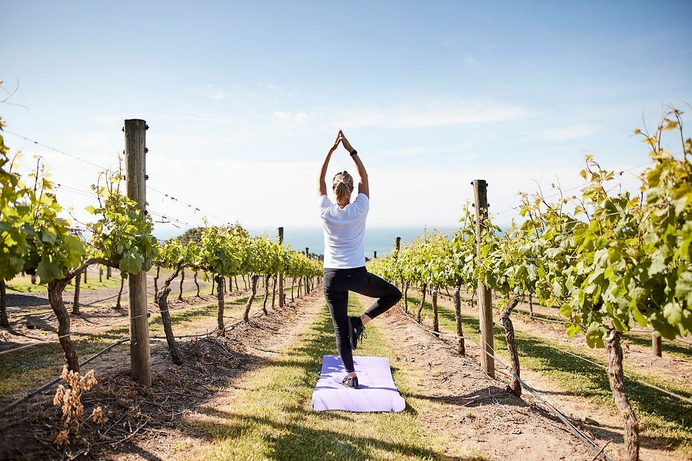 yoga-portrait1.jpeg