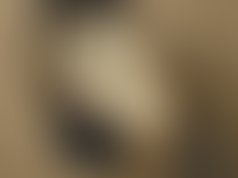 A watch which is melting