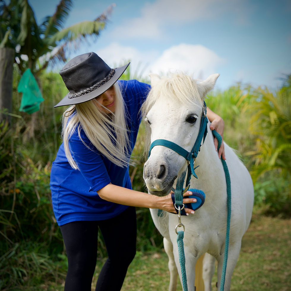 Woman brushing a small white pony