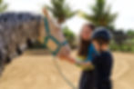 Boy in helmet feeding a caroot to a white horse dressed in a zebra outfit.