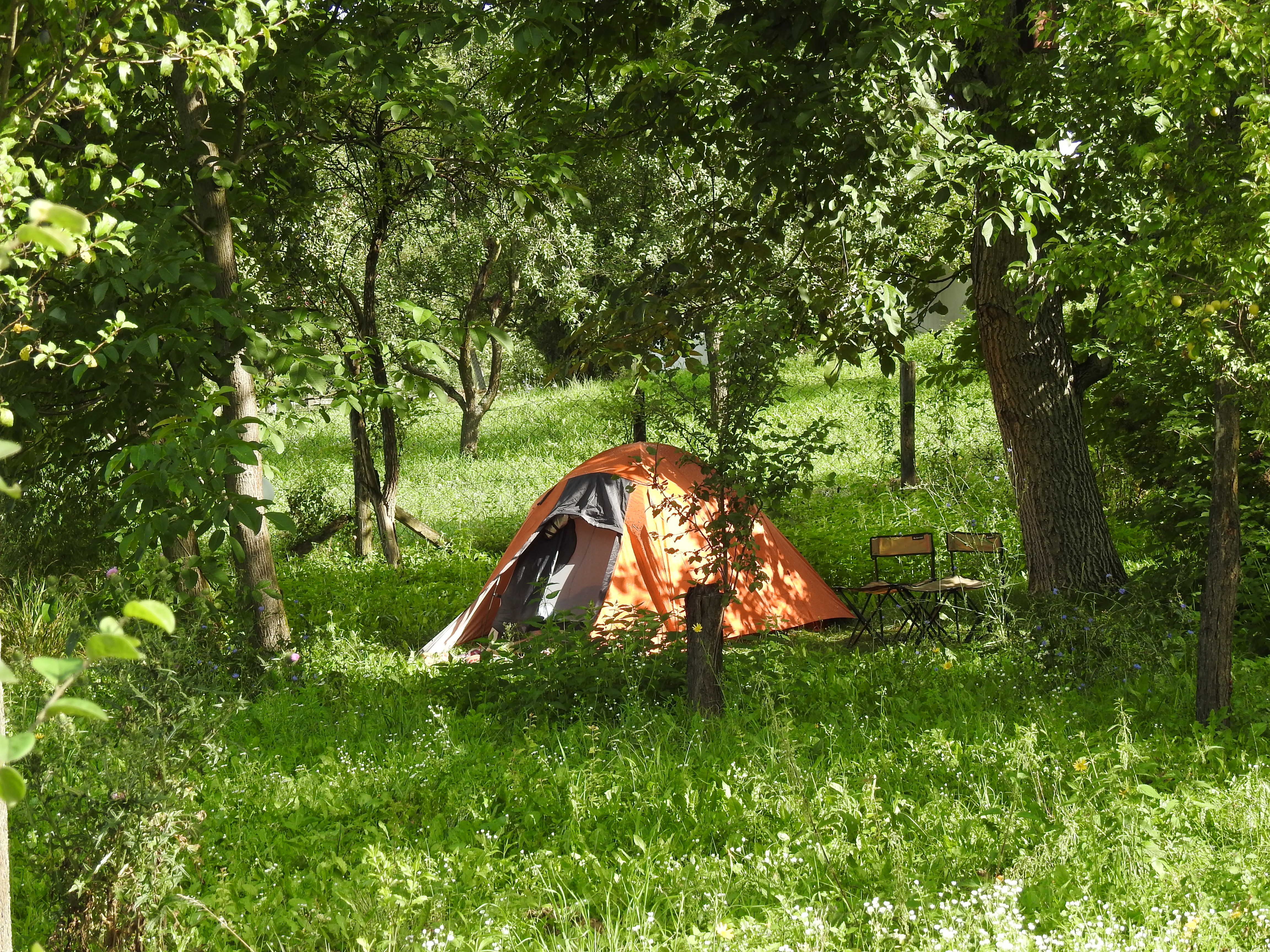 Tent op het terrein