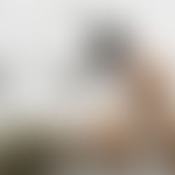 A Rotina é boa ou ruim?