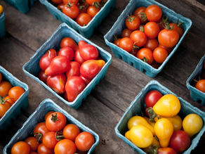 3. Alles Rund um die Tomate