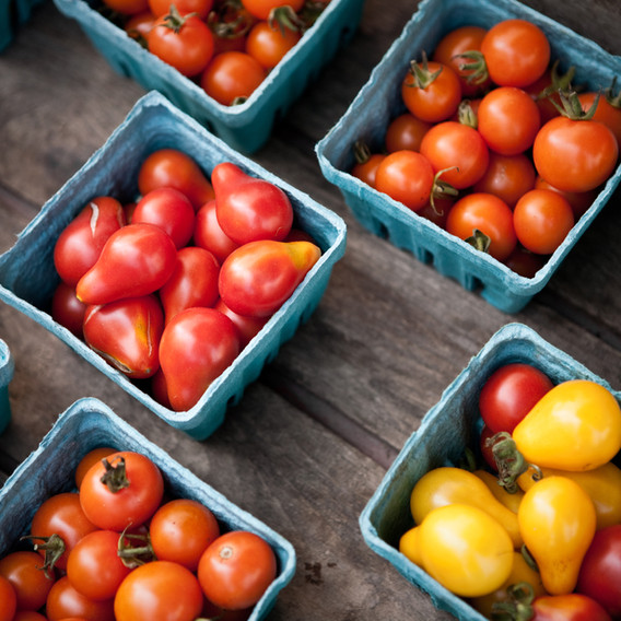 Cherry Tomatoes at the Farmers Market