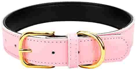 Thumbnail: Custom Engraved Leather Pet Collar