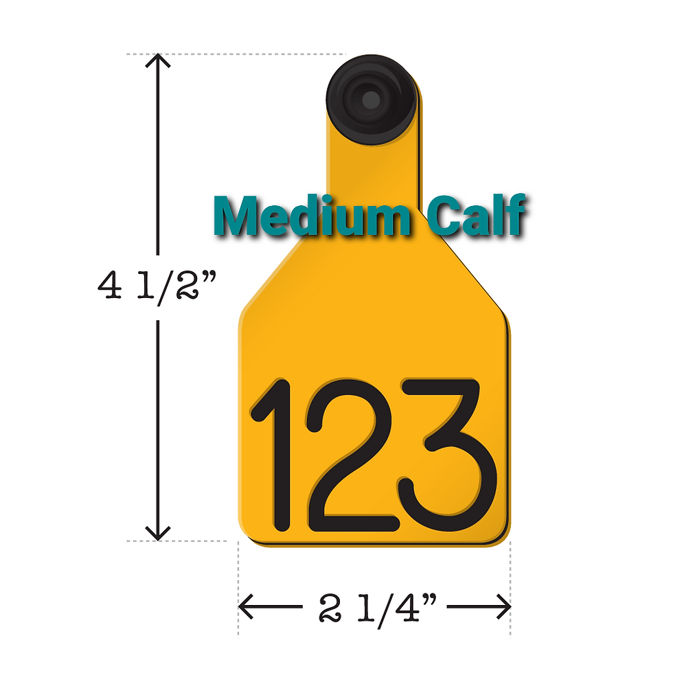 Thumbnail: Custom Livestock Tags