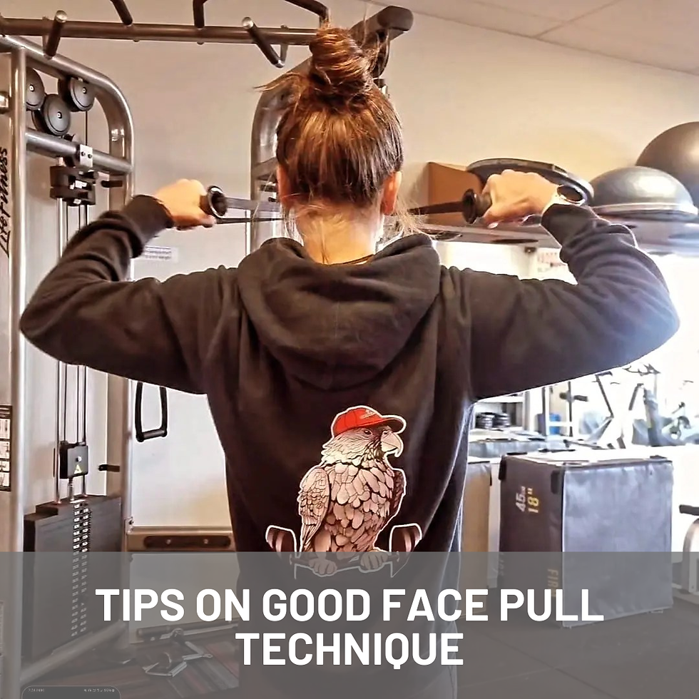 Face Pull on the cable machine in Central Fitness Kaikoura