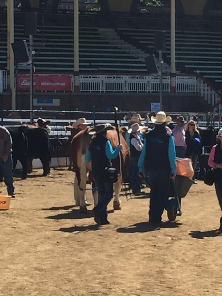 What were the memories that brought the "want" to show?