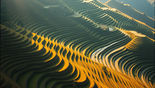 Stone-terraced rice paddies cut into hillside