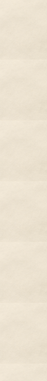 9279 x 980 (1).png