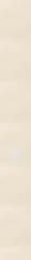 9279 x 980.png