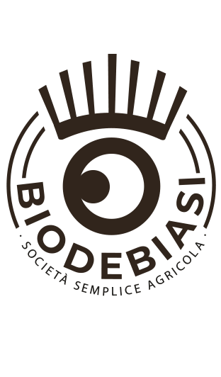 logo_An.gif