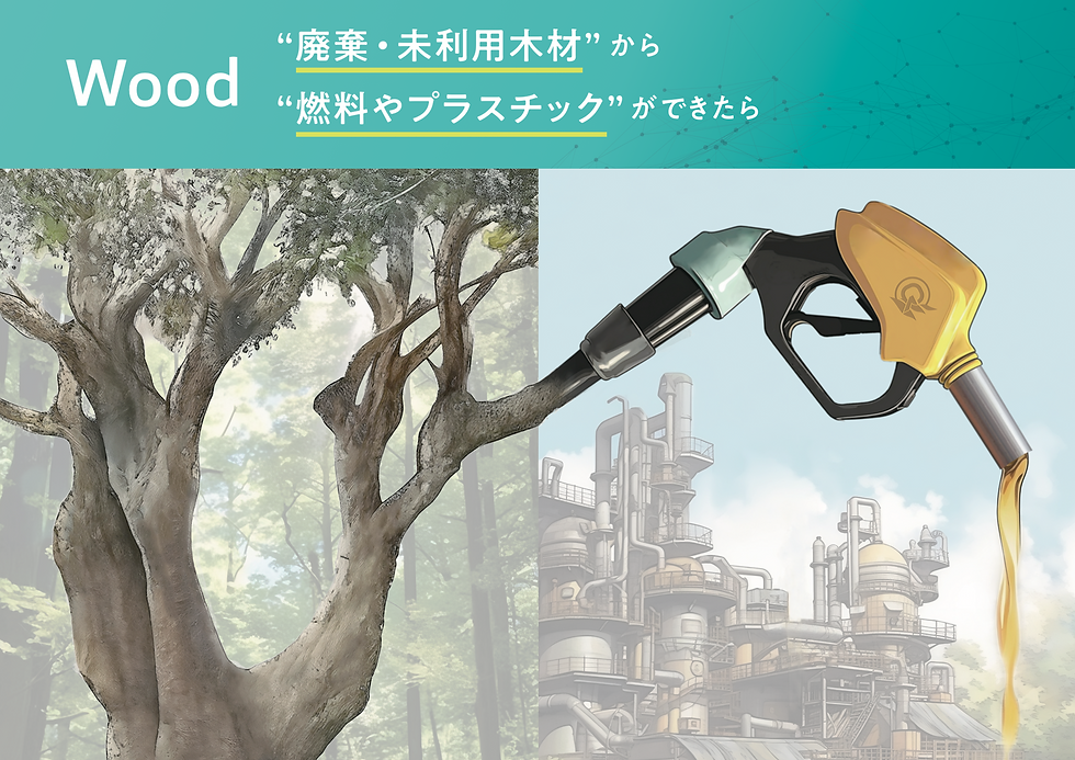 スクリーンショット 2023-07-18 18.36.07