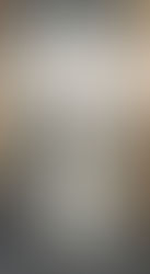 Design for SIMS "Vanilla"