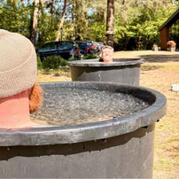 Optional ice bath during the Advanced psilocybin retreat