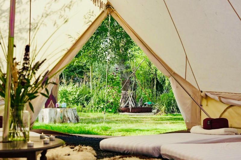 Peaceful retreat setting for a guided psilocybin retreat in the Netherlands