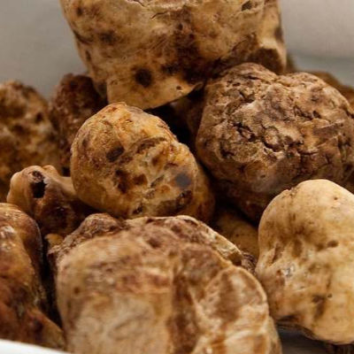 Magic truffles