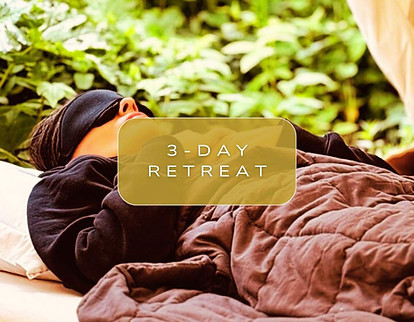 Participant enjoying a guided psilocybin ceremony in a serene Dutch farm house, with medit