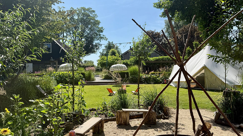 The lush garden