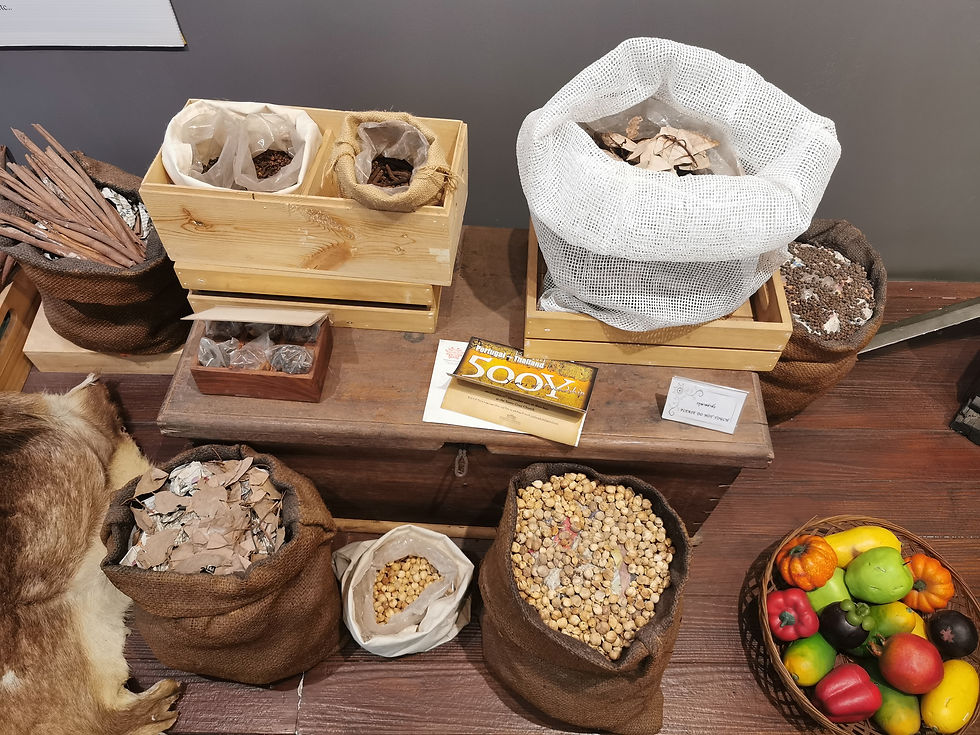 เครื่องเทศ สินค้าสำคัญที่ชาวโปรตุเกสต้องการในสมัยอยุธยา