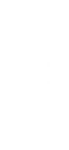 White Geometric Pattern.png