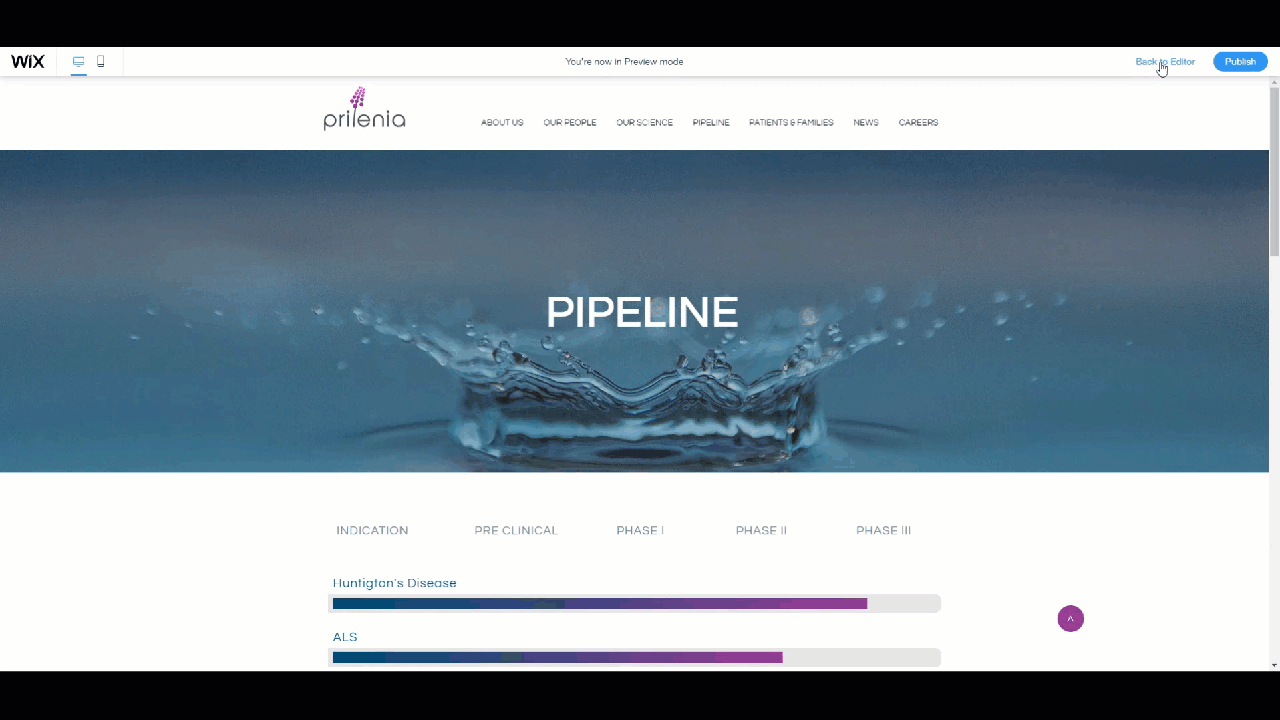 Gif_pipeline.gif