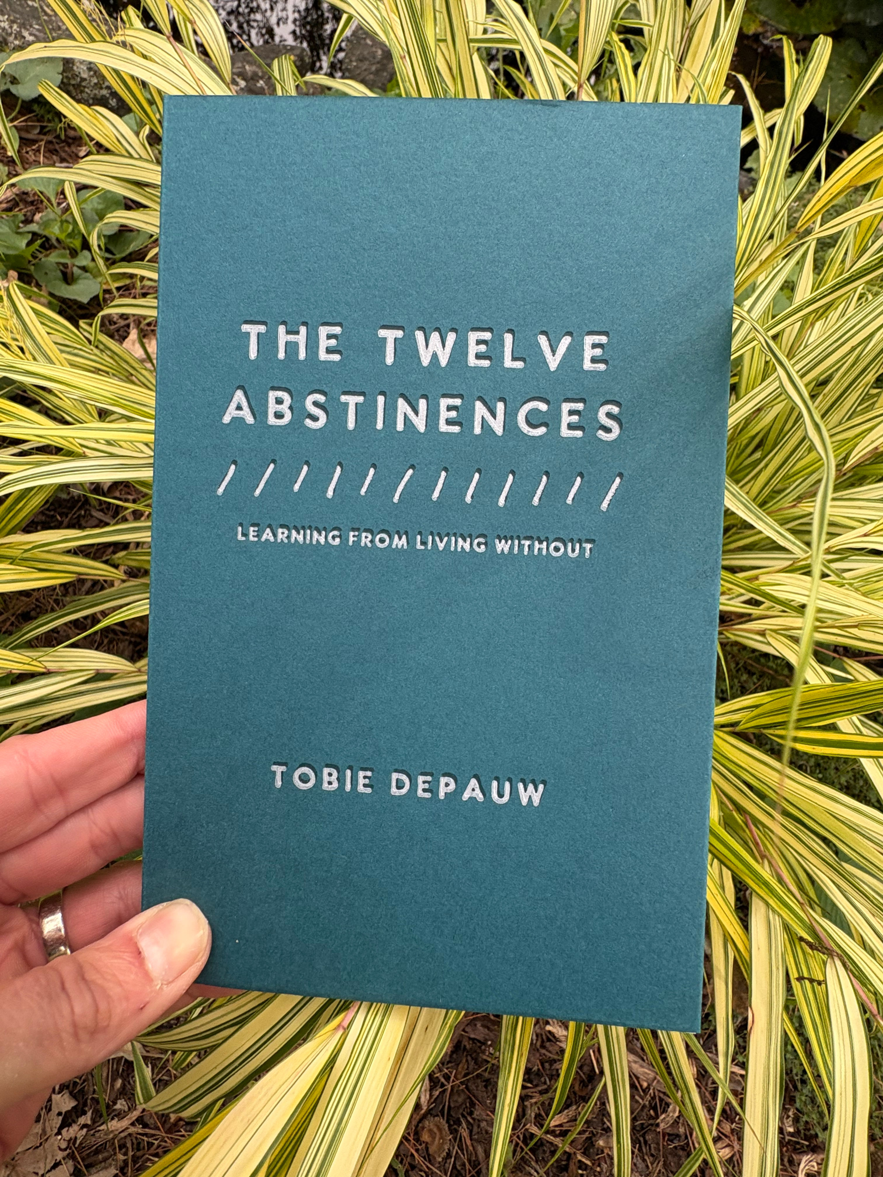 The Twelve Abstinences - First Edition