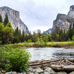 Landscape