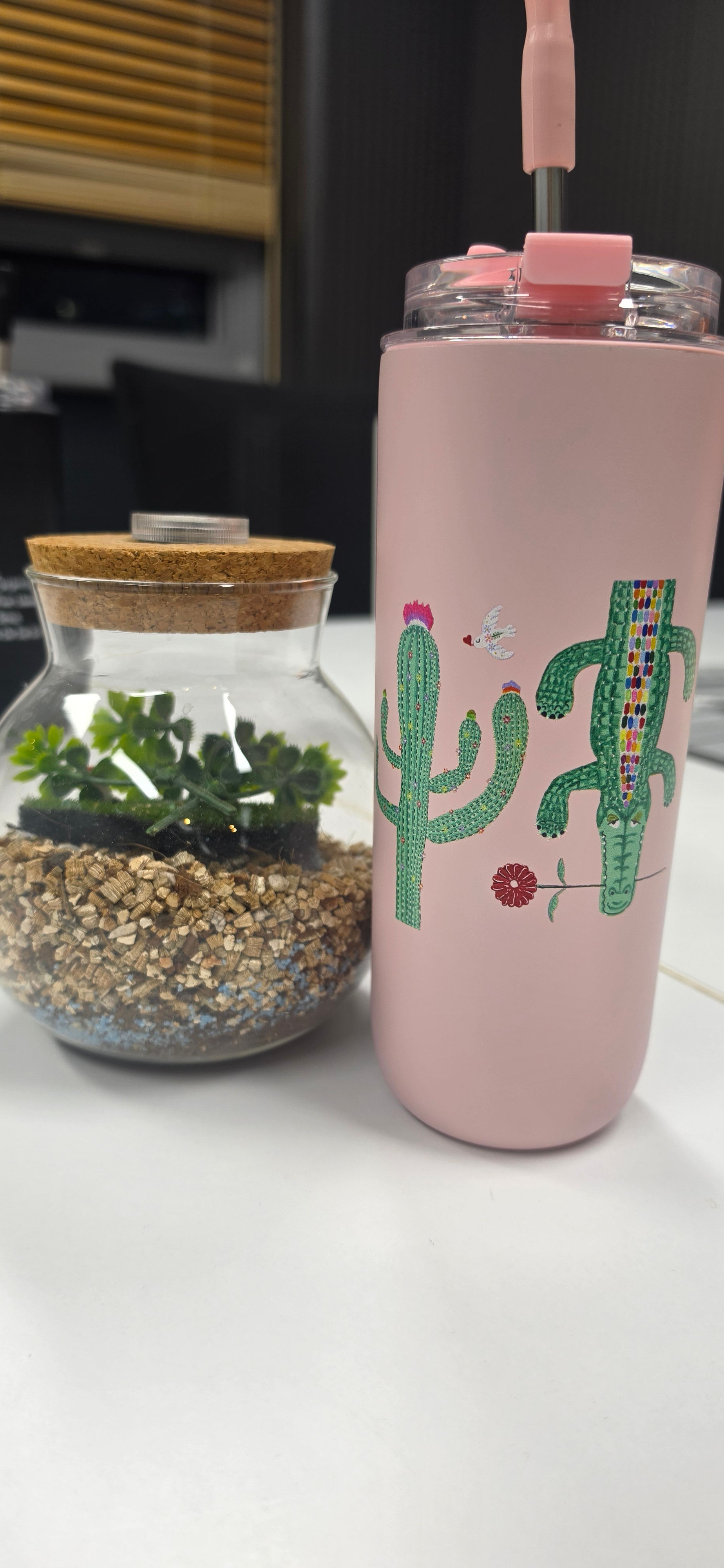 실버스톤 텀블러: 악어와 선인장