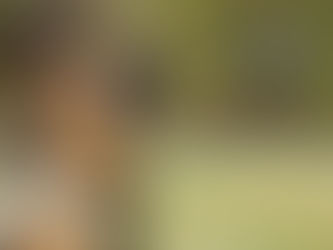 Peyo : Le Premier Chien Guidé par Drone en France Révolutionne l'Assistance Militaire