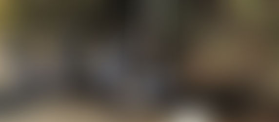 ボランティア活動を行いました