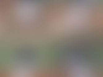 レギュラー公式戦　第11回 心のふるさとお伊勢さん大会