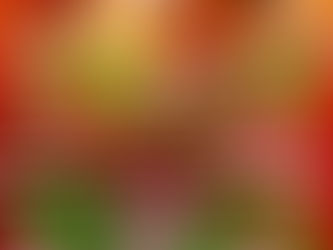 Conoce el Line Up por día del Tecate Pal Norte