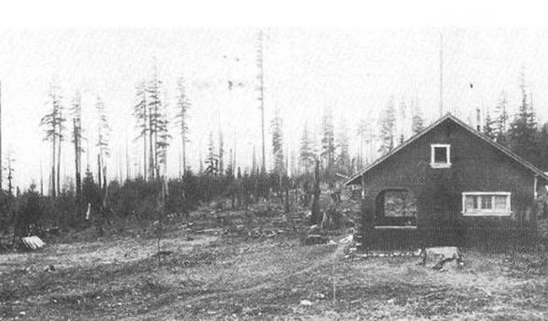 20250613_0956_Backyard Oasis Design_remix_01jxn3dqcdep6bq9ajw7bqfcj8 (1).png