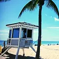 roofing company in broward county