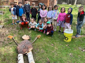 When Forest Magic Meets Environmental Science