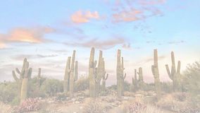 GilbertRiparian2_WFH_VirtualBackground_4