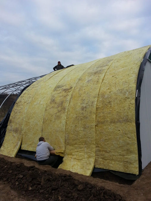 Etapa de constructie ferma de animale : montaj vată minerala de uz agricol pe structura metalică usoară pentru realizarea izolatiei fermei .Ferma moderna pentru oi , capre, vitei , păsări, porci .Depozit utilaje agricole si paie.