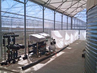 Sere,solarii,tunnel,greenhouses,invernaderos,serre,irigatii,sere+hobby,5.gif