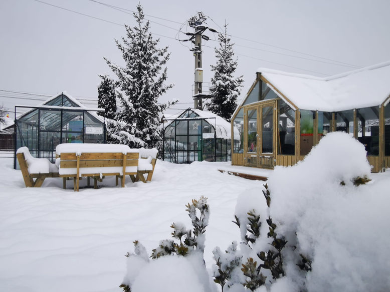 Showroom Concept Airnature ,exterior iarna cu sere din lemn și sticlă, sere Natura și zăpadă