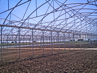 structura rezistenta si adaptabila pentru sera profesionala Multiclair galvanizata pentru agricultura intensiva