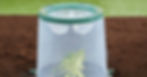 Clopot transparent pentru răsaduri