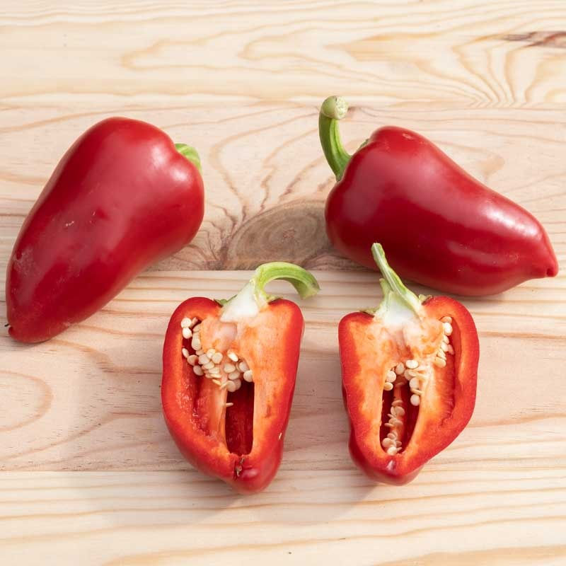 Miniatură: ARDEI ROMÂNESC PRECOCE - varietate dulce de culoare galben/roșu(25 semințe)