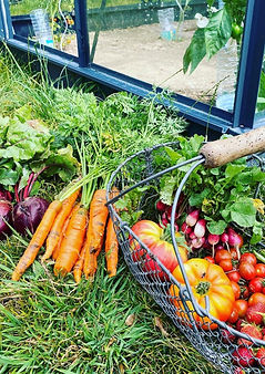 serre-de-jardin-en-verre-trempe-allium-490-m-aluminium-laque-anthracite (5).jpg