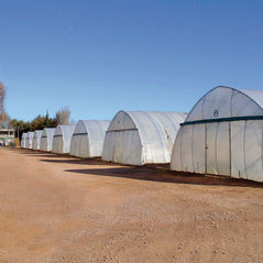 Solarii profesionale tip tunel pentru legume si flori