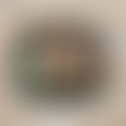 What's In My Toiletries Bag? (Crewe 2025)