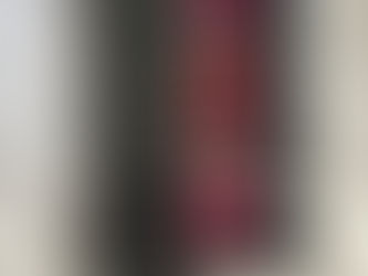 REVIEW: Federico Mahora Makeup Long-Lasting Matte Liquid Lipstick