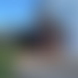 The Brocklebank (Crewe 2025)