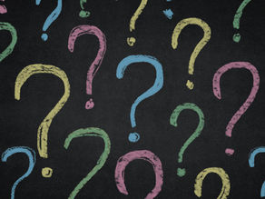 What would you like to see?